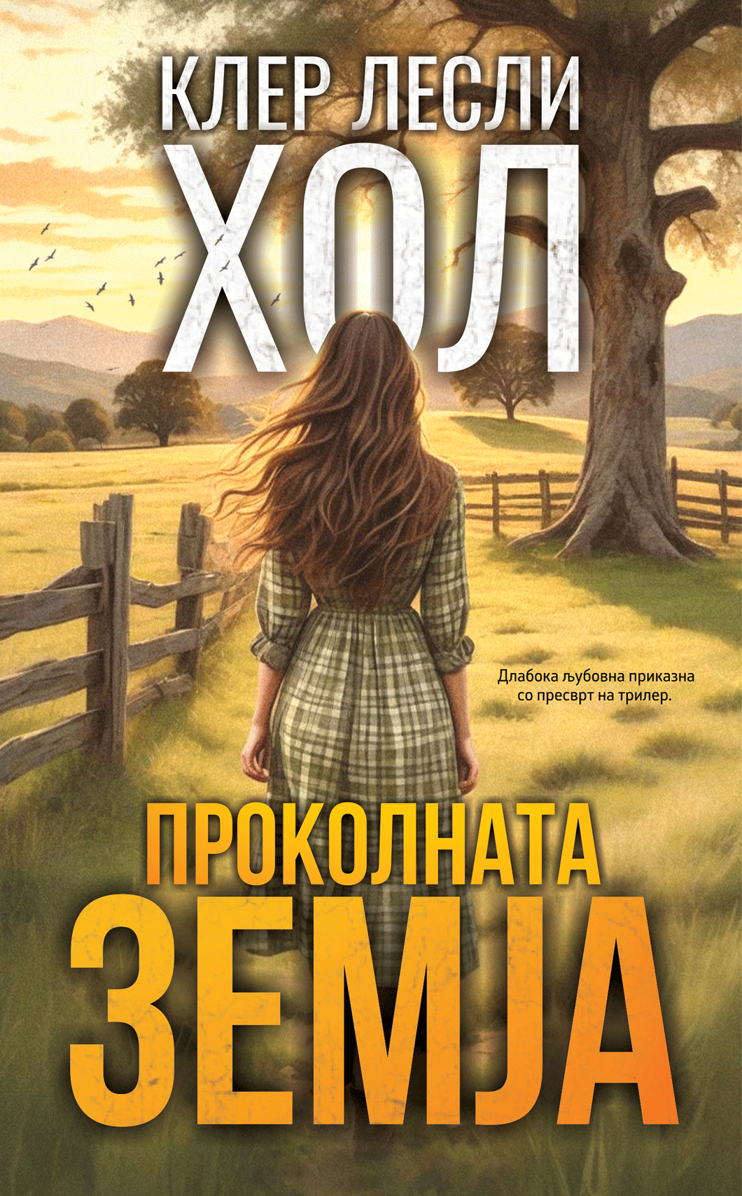 Проколната земја